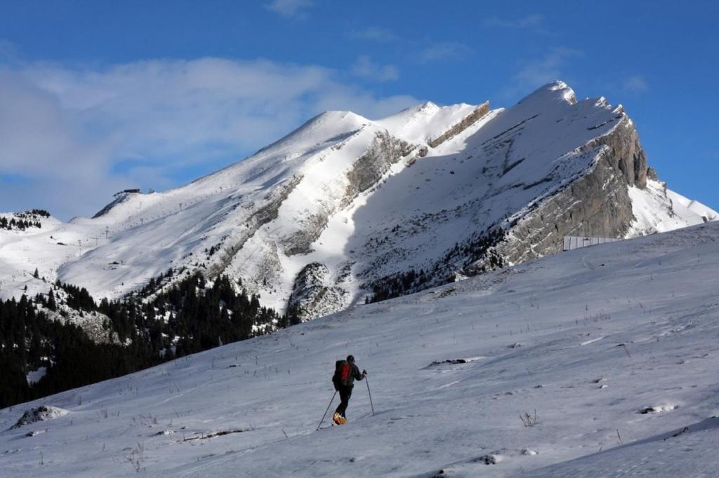 Hotel La Montagne La Clusaz Eksteriør billede